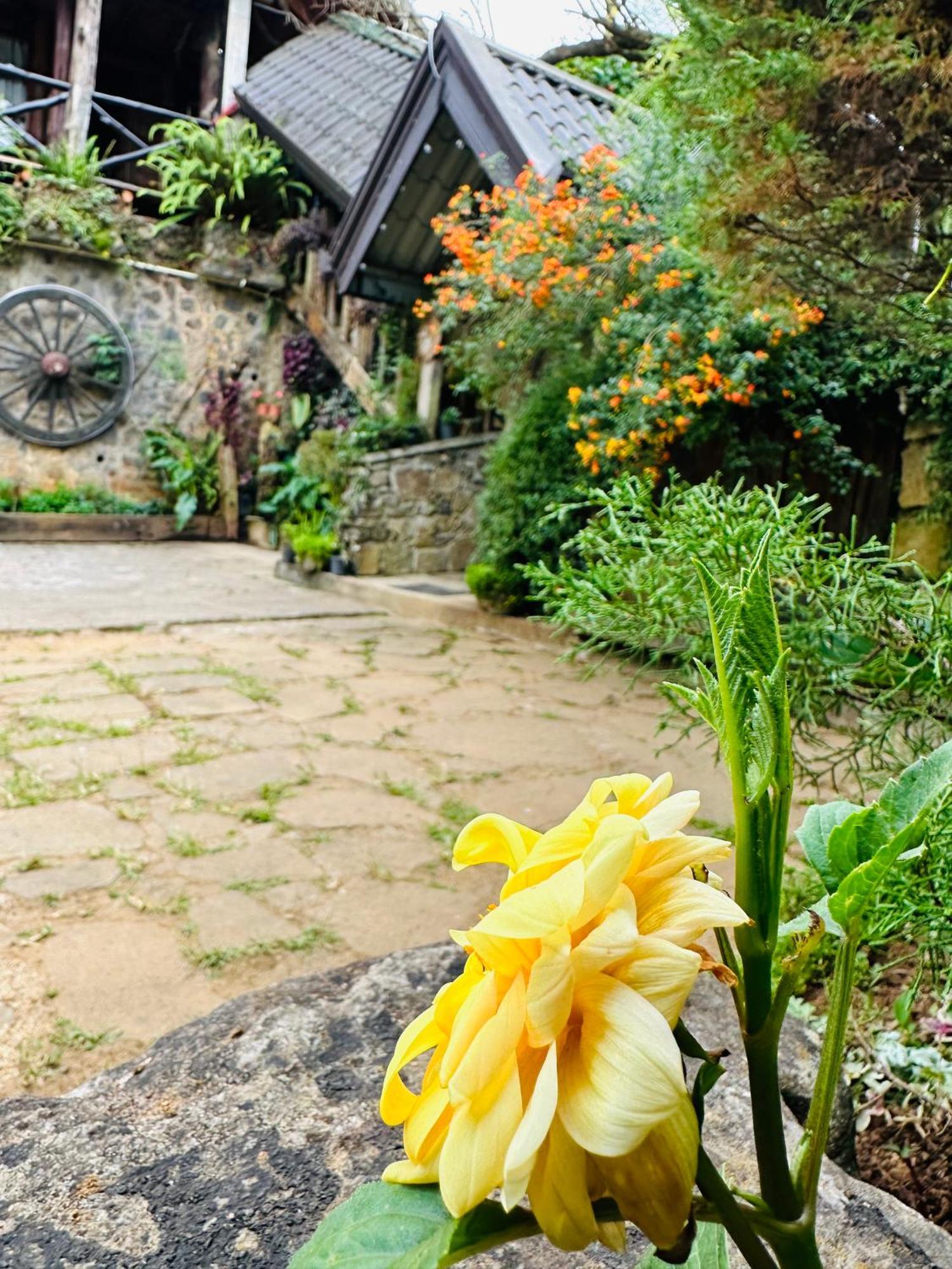 Villa 47 Nuwaraeliya Nuwara Eliya Exterior photo